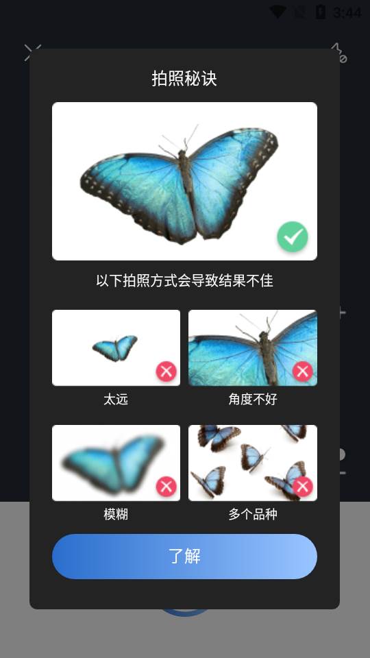 昆虫识别软件Picture Insect最新版 昆虫识别软件Picture Insect最新版