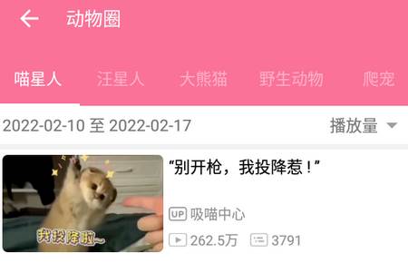 bilimiao哔哩哔哩时光机