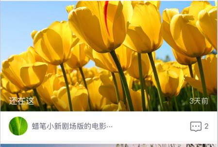 碰词儿app 碰词儿app