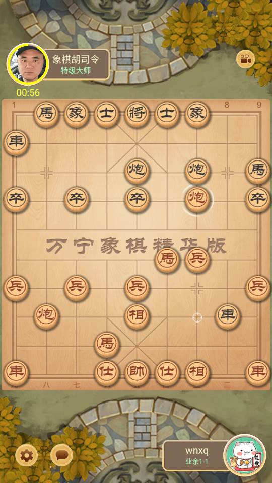 万宁象棋精华版破解版