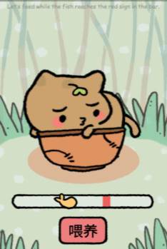 我的猫锅 我的猫锅