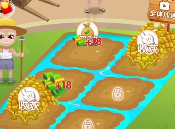 快来看大米 快来看大米