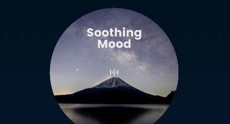 Sleep Monitor Sleep Monitor