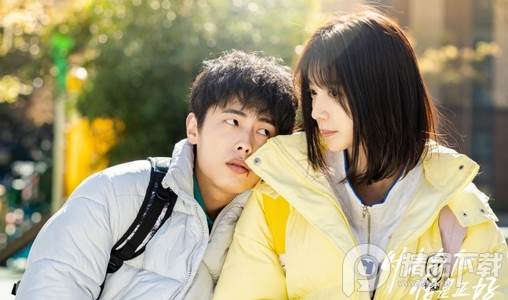 蜂鸟追剧app官方版 蜂鸟追剧app官方版