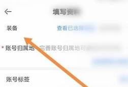 租号玩专业版 租号玩专业版