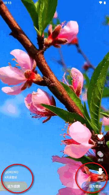 全民免费壁纸软件最新版