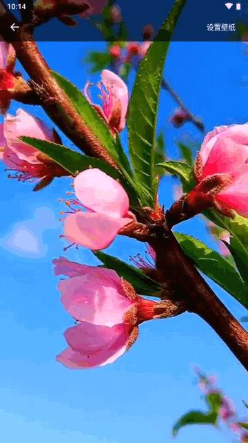 全民免费壁纸软件最新版