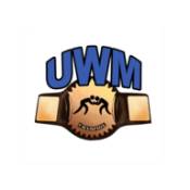 终极摔跤经理Ultimate Wrestling Manager 