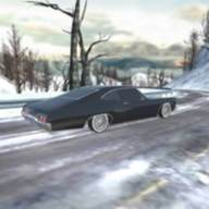 真实汽车模拟器(Real Car Simulator) 