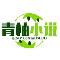 青柚小说app手机安卓版(青柚nice 小说) 