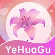 野花谷相机app(野花谷指弹谱) 